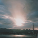 船のでんきや日東電機　マリランプは復興の灯り　Lighthouse210dk