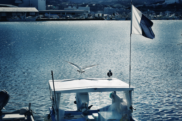 船のでんきや日東電機　マリランプは復興の灯り　Lighthouse210dk